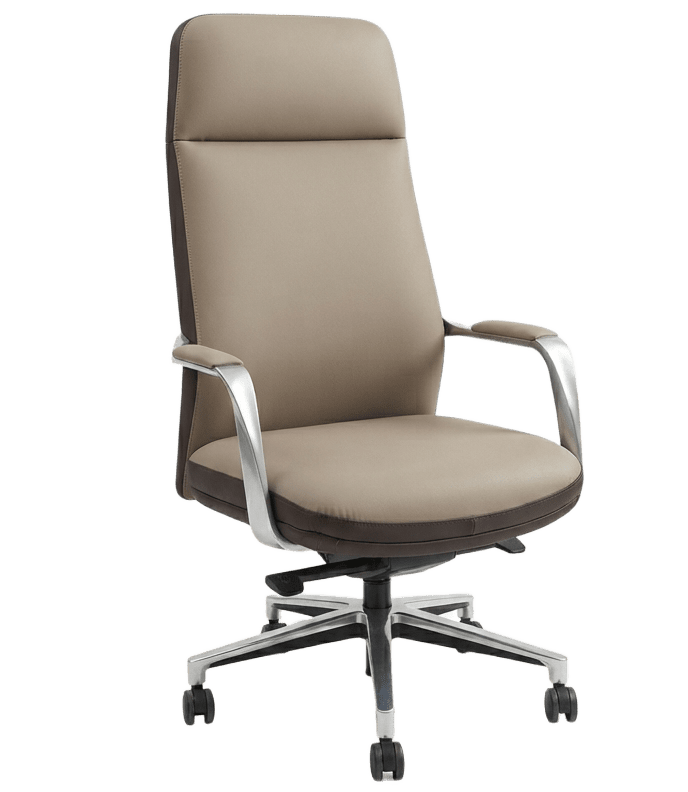 Reclinear Chair 4